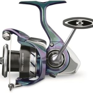 Daiwa Regal LT Deep Spool Spinning Reel for Lakes, Ponds and Rivers